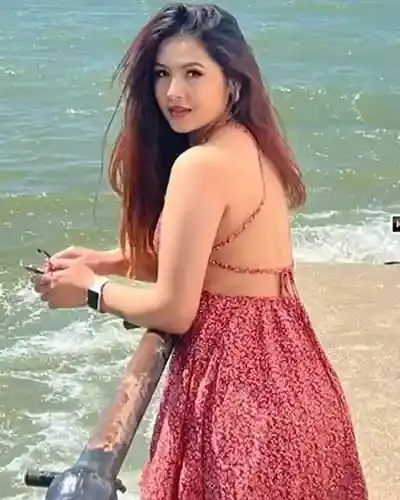Vaniyambadi Escort Service