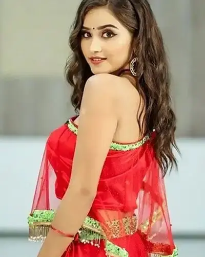 Escort In Vaniyambadi